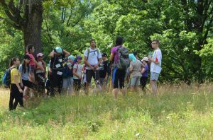 67233931_1375222079295807_2354794035681427456_o